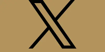 X (Twitter) icon