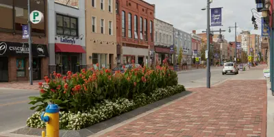 Downtown Belleville streetview
